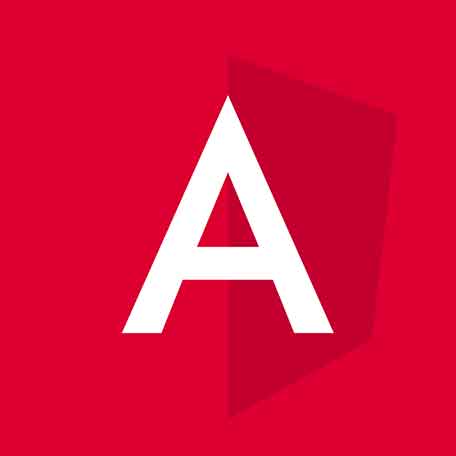 angular develop